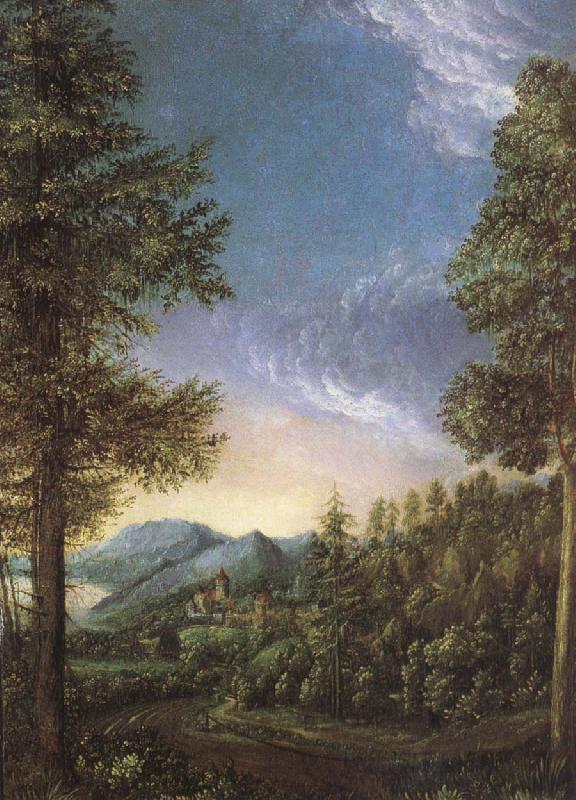 Albrecht Altdorfer View from Danube oil painting image
